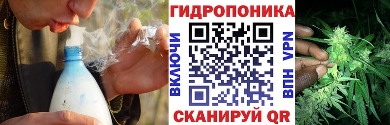 Бошки Шишки сатива  Купить закладки  Волчанск 